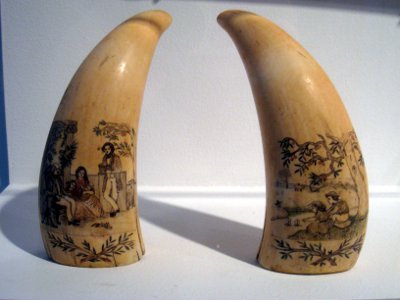 scrimshaw