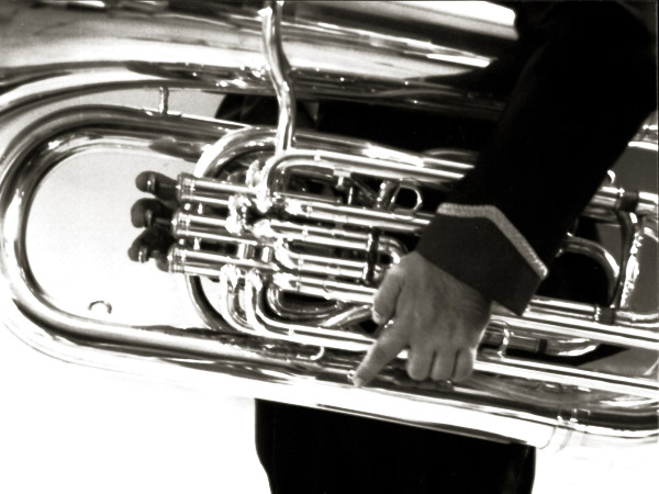 Porn Star’s Pedagogic Past Revealed