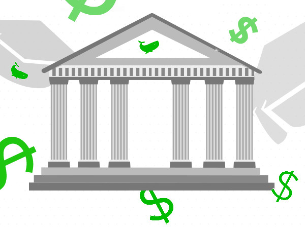 ‘Whale Academy’ Premieres Knowledge Base