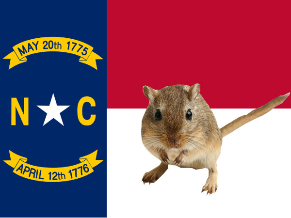 NC Porn Traffic Block Not Crass Publicity Ploy