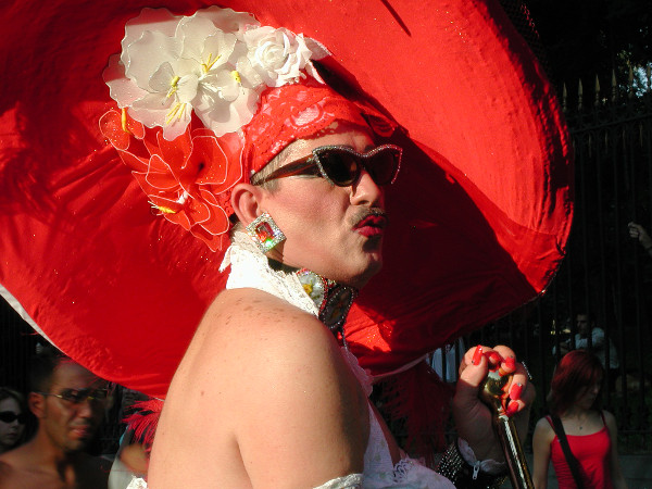 Red States, Porn and the Gay Agenda