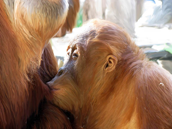 Even Smart Guys Constantly Stare At My Tits