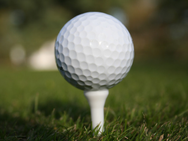 Golf Tournament Denies Porn Industry Ties
