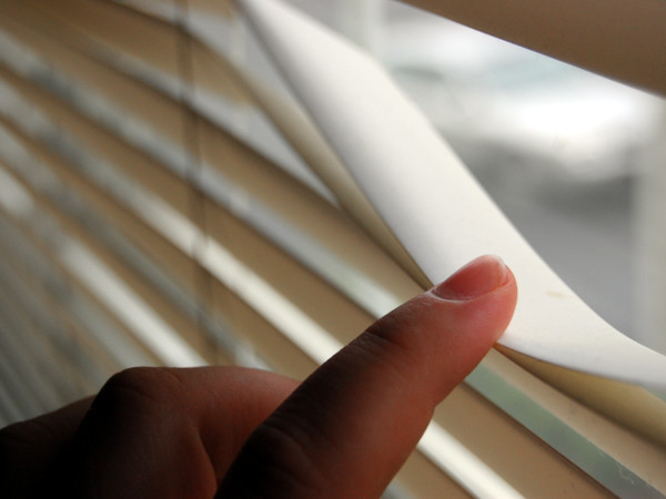 German Spy Makes Gay Porn for ISIS