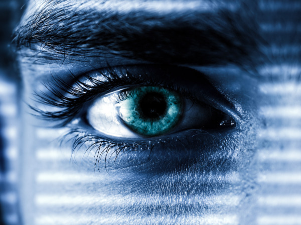 The Other Thing that Porn Makes Hard