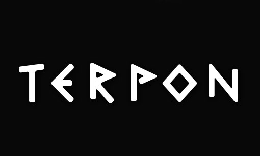 TERPON Gold Sponsor of the Phoenix Forum 2017 Cybersocket Opening Party