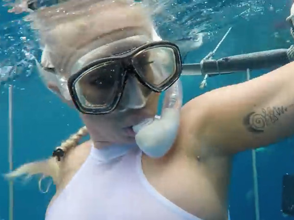 Did They Get the Shark’s ID, at Least?