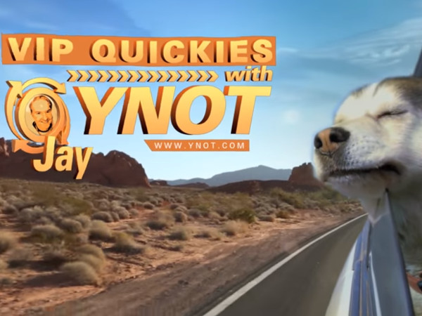 YNOT Group Introduces ‘VIP Quickies’ Video Series
