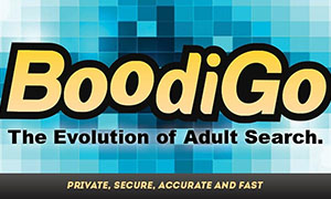 Privacy Concerns Driving Web- Searchers to BoodiGo.com