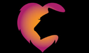 The Lions Den Becomes Newest ASACP Title Sponsor