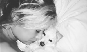 Go Fund Me Established for Shyla Stylez