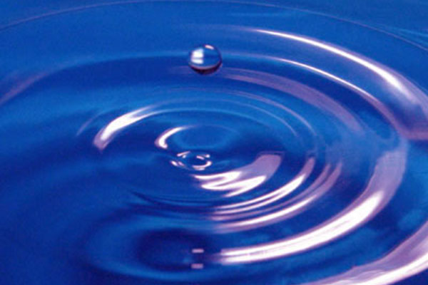 Performers Leigh Raven, Riley Nixon Claim Abuse On Set