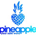 Pineapple Support