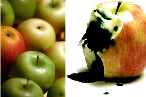 Youtubers Experience The ‘Rogue Affiliate’ Effect