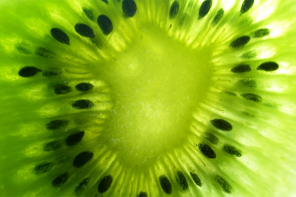 #Ad: Adult Industry Personalities as Social Media Influencers