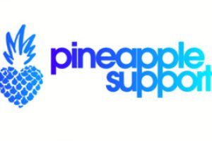 pineapple support logo