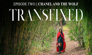 Adult Time Releases Episode 2 of TS Erotica Series Transfixed