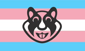 xHamster Honors the Important Work of Trans Performers