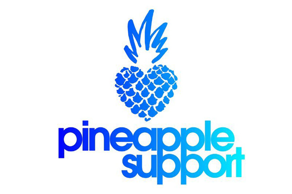 Pineapple Support Secures Non-Profit Status in US