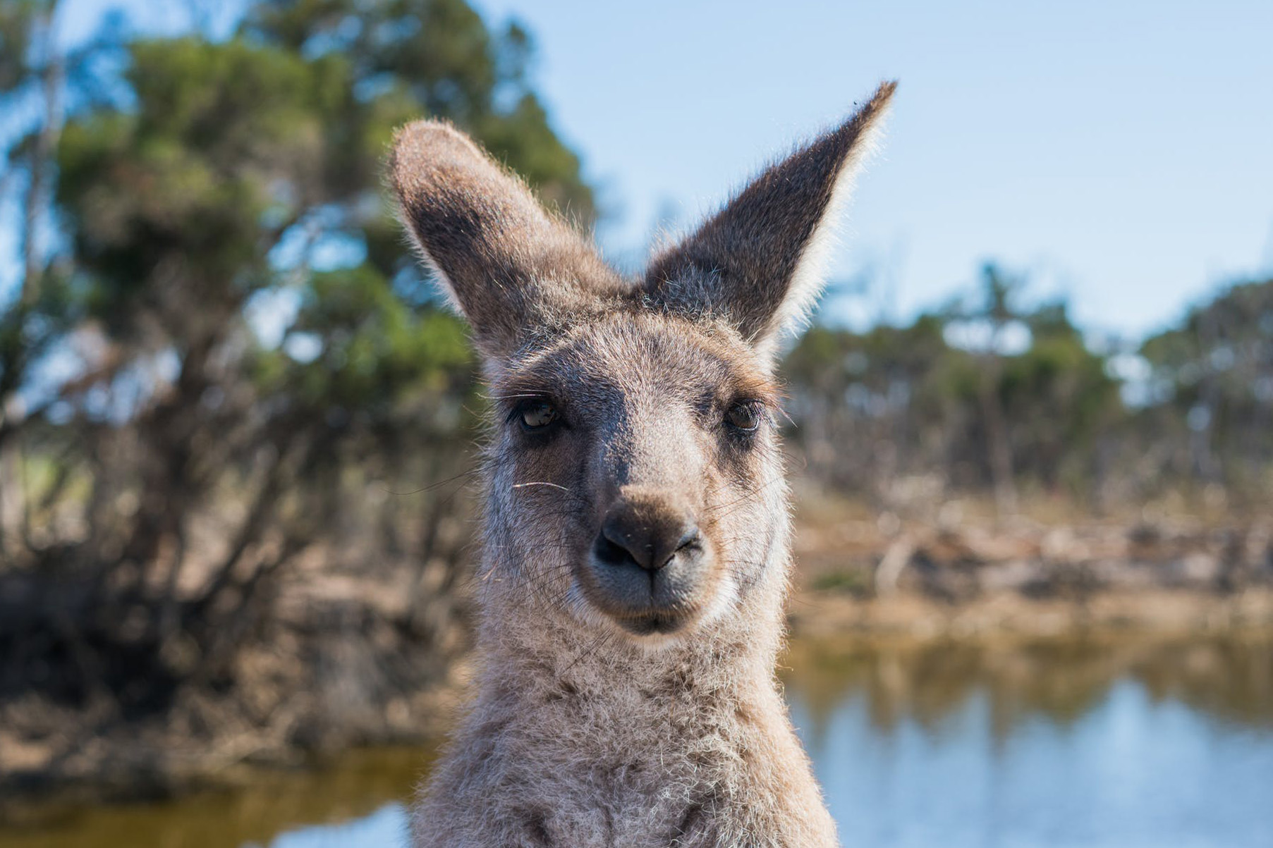 ABC Investigation Reveals Conflicting Porno-Stances Within Australian Society