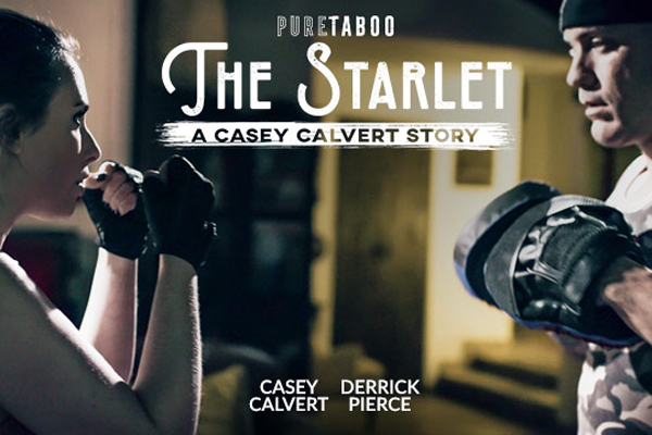Pure Taboo Shines a Spotlight on The Starlet: A Casey Calvert Story