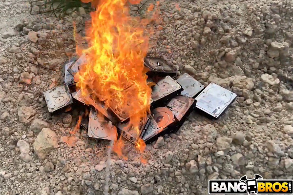 BangBros Shuts Down PornWikiLeaks.com, Destroys Data