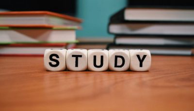 Study on impact of adult businesses