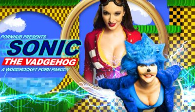 WoodRocket Sonic The Vadgehog