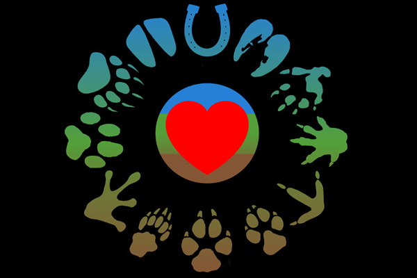 Animal International Title comes to DomCon 2020