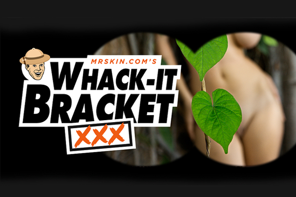 ‘Sweet 16’ Voting Underway for Mr. Skin’s ‘XXX Whack-It Bracket’ Celebrity GIF Tournament