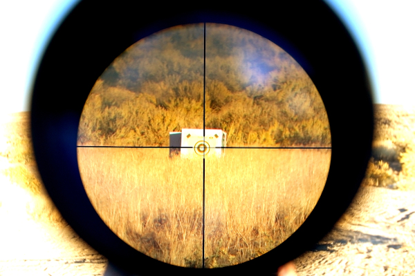 Section 230 in the crosshairs