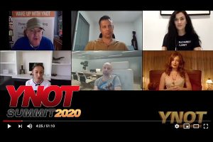 Webcam Business Models