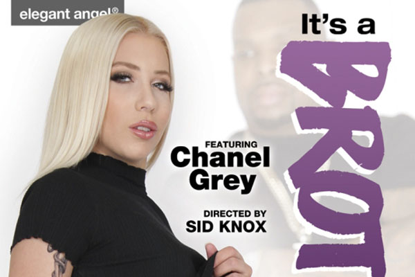 Elegant Angel Releasing ‘It’s A Brotha Thing! 4’