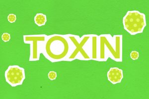 Judith Reisman, mother of the