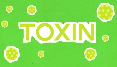 Judith Reisman, mother of the