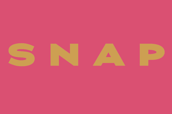 UKAP Rebranded as SNAP (Support Netowrk For Adult Professionals)
