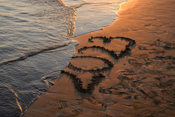 2023 off to a rough start, with new Lousiana age verification law and Pineapple Support Twitter ban