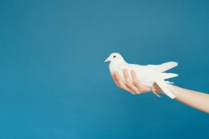 Ukranian, Russian models want peace