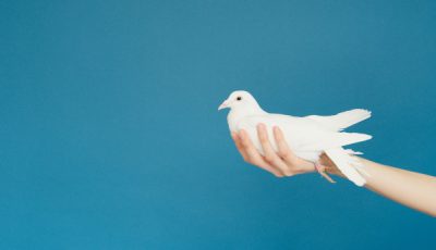 Ukranian, Russian models want peace