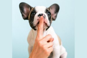 Greetings from Shadowbanistan