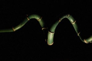 Gigi Sohn's withdrawn FCC nomination has an anti-porn twist