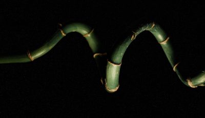 Gigi Sohn's withdrawn FCC nomination has an anti-porn twist