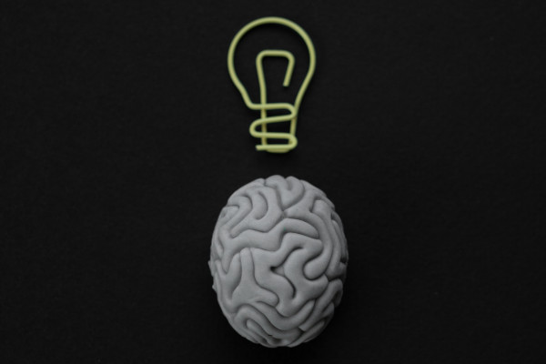 Can we work on developing some natural intelligence, too?