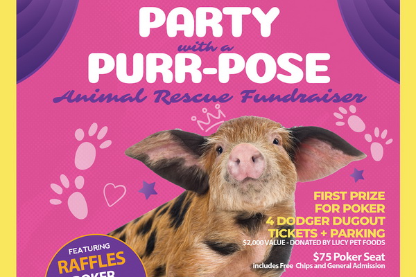 Vice Is Nice Is Back: Come Party with a Purr-pose at the Biggest Charity Event of the Season