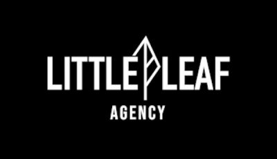 Little Leaf Agency Achieves Awin Certification