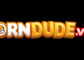 YNOT Q&A: Why Launch ThePornDude.vip Instead of Expanding ThePornDude.com?