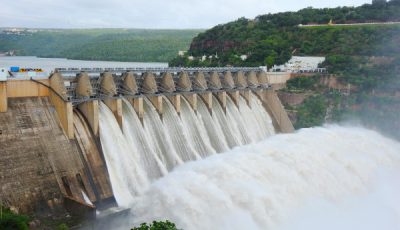 Open The Age Verification Floodgates!