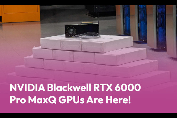 MojoHost Launches NVIDIA Blackwell GPU Hosting with RTX Pro 6000 MaxQ