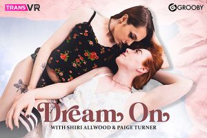 Grooby VR Dream On Trans